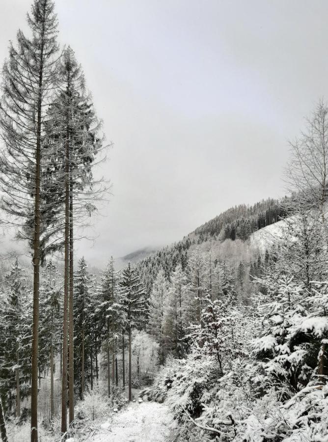 Harz hotel Iris Sieber Buitenkant foto