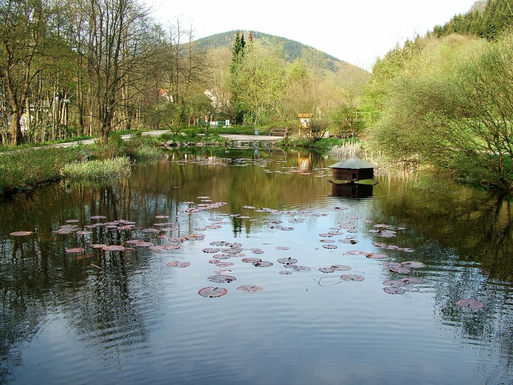 Harz hotel Iris Sieber Buitenkant foto