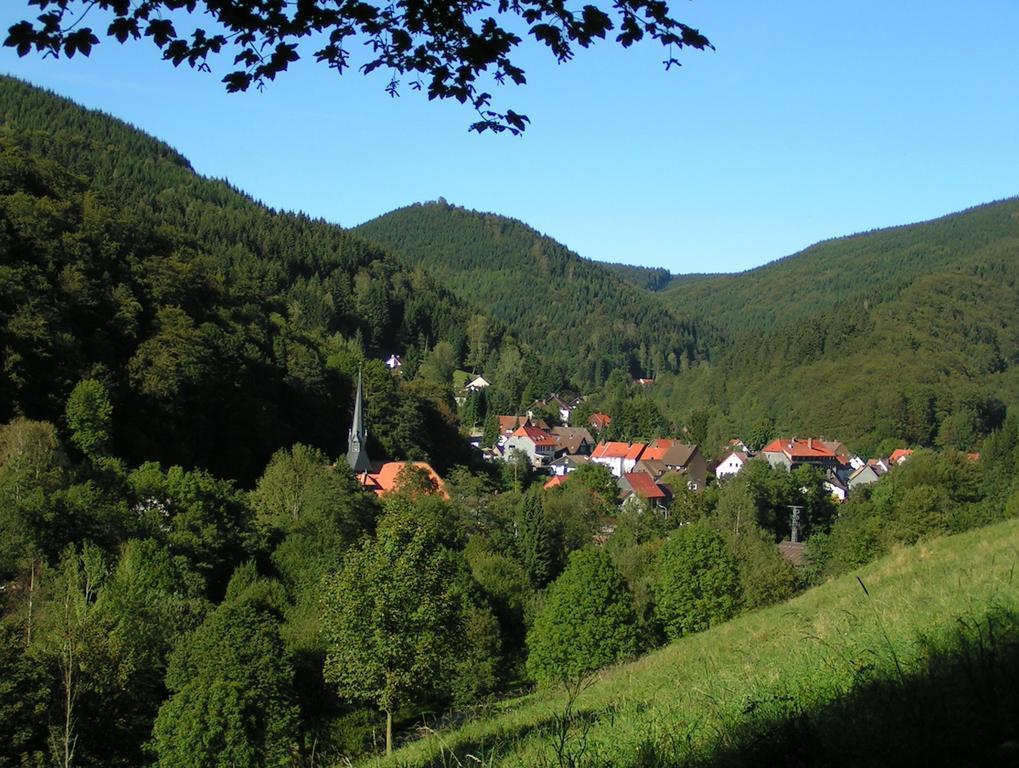 Harz hotel Iris Sieber Buitenkant foto