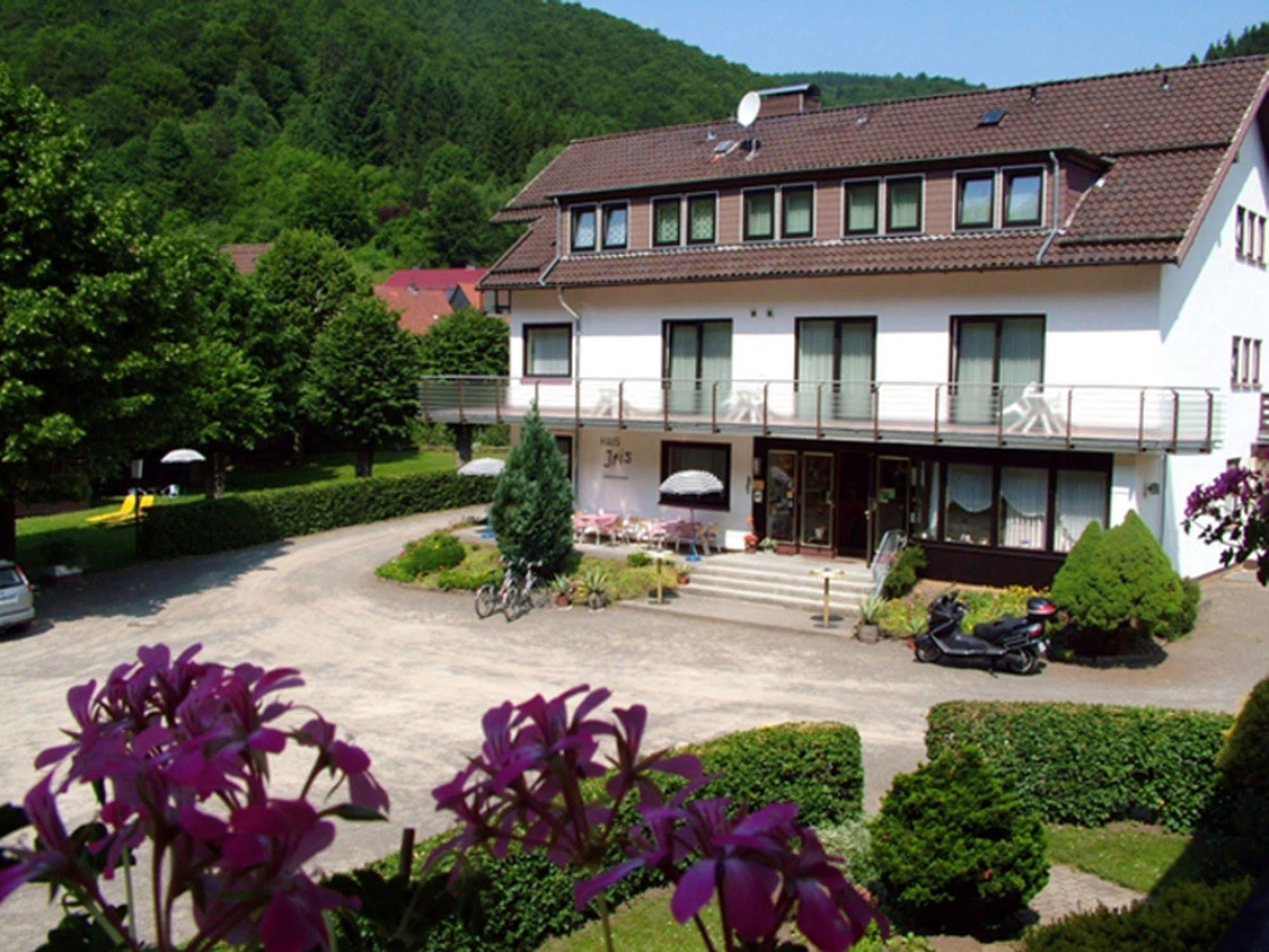 Harz hotel Iris Sieber Buitenkant foto