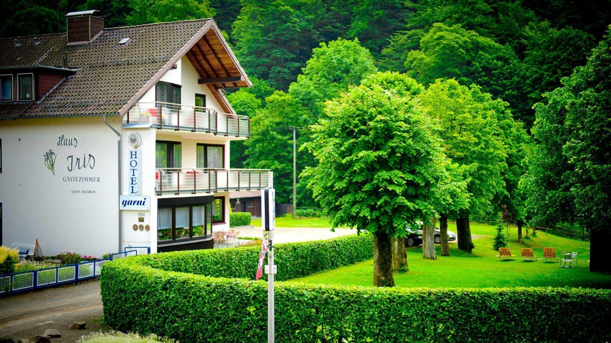 Harz hotel Iris Sieber Buitenkant foto